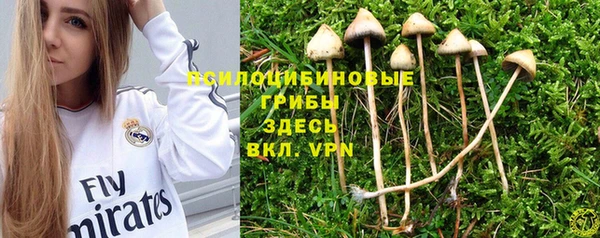 экстази Алзамай