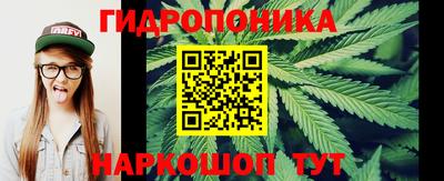ГАЛЛЮЦИНОГЕННЫЕ ГРИБЫ Тулун
