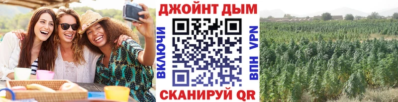 где купить наркотик  Нарьян-Мар  Шишки марихуана индика 